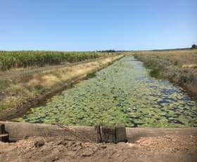 Rural / Farming commercial property sold at 65 Eucalypt Drive Swan Bay NSW 2471