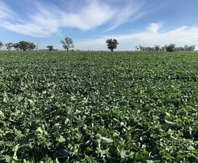 Rural / Farming commercial property sold at . Sunriver Narromine NSW 2821