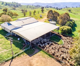 Rural / Farming commercial property sold at 635 Decca Road Bigga NSW 2583