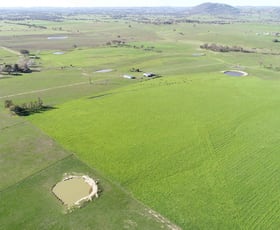 Rural / Farming commercial property sold at Bowning NSW 2582