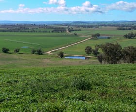 Rural / Farming commercial property sold at 664 Fish Fossil Drive Canowindra NSW 2804
