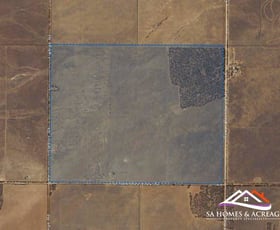 Rural / Farming commercial property sold at Lot 222 Bower Boundary Road Steinfeld SA 5356