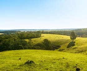 Rural / Farming commercial property sold at 1800 Canyonleigh Road Canyonleigh NSW 2577