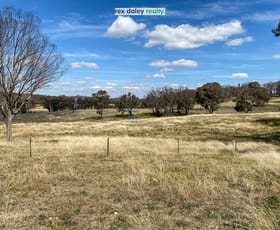 Rural / Farming commercial property sold at 874 Ramah Road Tenterden NSW 2365