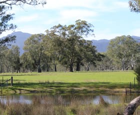 Rural / Farming commercial property for sale at 18/ Leppecks Road Mooralla VIC 3314