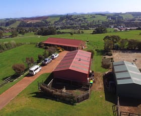 Rural / Farming commercial property sold at 352 Braddons Lookout Road Forth TAS 7310