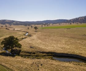 Rural / Farming commercial property sold at 583 Tulloch Road Lyndhurst NSW 2350