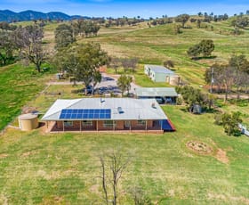 Rural / Farming commercial property sold at 216 Wisemans Arm Road Tamworth NSW 2340