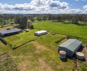 Rural / Farming commercial property sold at 69 McLaughlan Street Cumnock NSW 2867