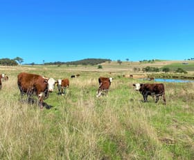 Rural / Farming commercial property sold at Goulburn NSW 2580