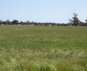 Rural / Farming commercial property sold at Gathen Road Deniliquin NSW 2710