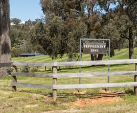 Rural / Farming commercial property sold at Taggerty VIC 3714