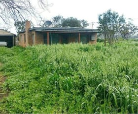 Rural / Farming commercial property sold at 378 Dappo Road Narromine NSW 2821