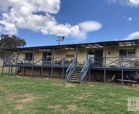 Rural / Farming commercial property sold at 200 Collins Road Numeralla NSW 2630