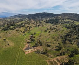 Rural / Farming commercial property sold at 559 Gap Road Werris Creek NSW 2341