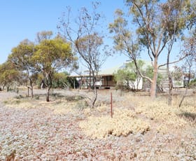 Rural / Farming commercial property sold at 318 Arbuckle Road Dalwallinu WA 6609