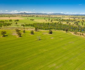 Rural / Farming commercial property sold at French Park-Bullenbung Road Milbrulong NSW 2656