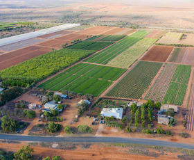 Rural / Farming commercial property for sale at 124 South River Road South Plantations WA 6701 Rural / Farming commercial property for sale at 124 South River Road South Plantations WA 6701