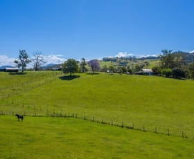 Rural / Farming commercial property sold at 2069 Taylors Arm Rd Taylors Arm NSW 2447