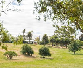 Rural / Farming commercial property sold at 46 Retreat Homestead Road Casterton VIC 3311