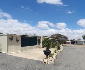 Rural / Farming commercial property sold at 270 Westbrook Road Tailem Bend SA 5260