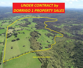 Rural / Farming commercial property sold at 308-478 Paddys Plains Road North Dorrigo NSW 2453