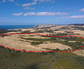 Rural / Farming commercial property sold at Lot 2 North Coast Road Menzies SA 5223