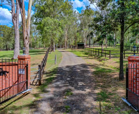 Rural / Farming commercial property sold at 41 Ironbark Road Tamborine QLD 4270