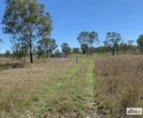 Rural / Farming commercial property sold at 218 Boys Road Alton Downs QLD 4702
