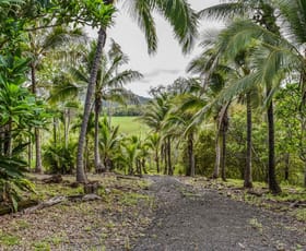 Rural / Farming commercial property sold at 1707 Yakapari Seaforth Road Mount Jukes QLD 4740