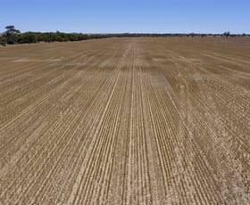 Rural / Farming commercial property sold at Sect. 79W Yorke Highway Curramulka SA 5580