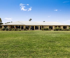 Rural / Farming commercial property sold at 126 Savage Road Cambooya QLD 4358