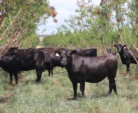 Rural / Farming commercial property sold at 'Bunyamora' Kearneys Road Kumbia QLD 4610