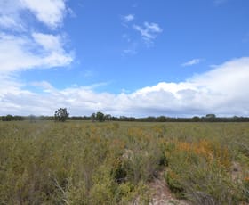 Rural / Farming commercial property sold at Lot 40 Scrubby Lake Road Edenhope VIC 3318