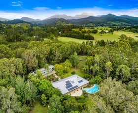 Rural / Farming commercial property sold at 170 Blackwoods Road Nobbys Creek NSW 2484