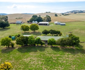Rural / Farming commercial property sold at Ravenhoe Walteela Road Tumbarumba NSW 2653