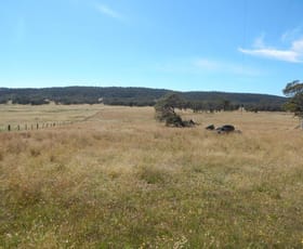 Rural / Farming commercial property sold at "The Flats" Gullies Road Moonbah NSW 2627