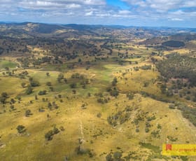 Rural / Farming commercial property sold at 1094 Aarons Pass Road Mudgee NSW 2850