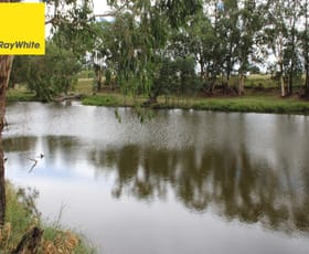Rural / Farming commercial property for sale at 631 Bonshaw Road Inverell NSW 2360