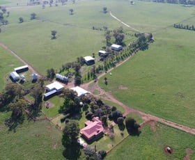 Rural / Farming commercial property sold at 'Kundiawa' Boomley Road Dunedoo NSW 2844