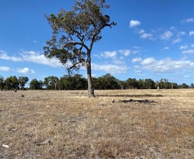 Rural / Farming commercial property sold at Lot 44 Old Bunbury Road West Coolup WA 6214
