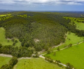Rural / Farming commercial property sold at 1391 The Branch Lane North Arm Cove NSW 2324