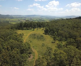 Rural / Farming commercial property for sale at 1447 Gresford Road Vacy NSW 2421