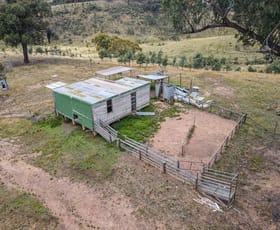 Rural / Farming commercial property sold at - Kangaloolah Road Binda NSW 2583