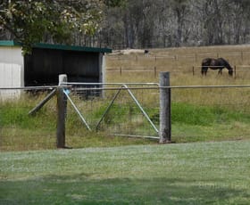 Rural / Farming commercial property sold at Emmaville NSW 2371