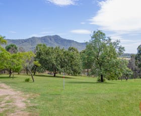 Rural / Farming commercial property sold at 587 Wollombi Road Broke NSW 2330 Rural / Farming commercial property sold at 587 Wollombi Road Broke NSW 2330