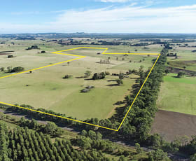 Rural / Farming commercial property sold at 331 Nehill and Alexanders Rd South Purrumbete VIC 3260