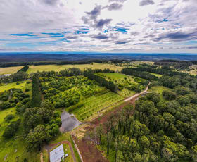 Rural / Farming commercial property sold at 4281 Braidwood Road Sassafras NSW 2622
