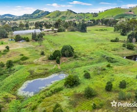 Rural / Farming commercial property sold at 143 Gumnut Drive Langshaw QLD 4570