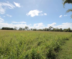 Rural / Farming commercial property sold at 413 Maidavale Road Airville QLD 4807